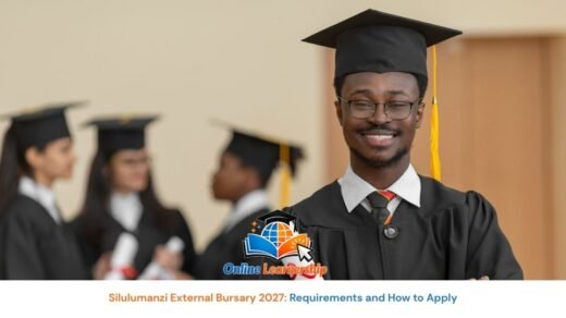 Silulumanzi External Bursary 2027